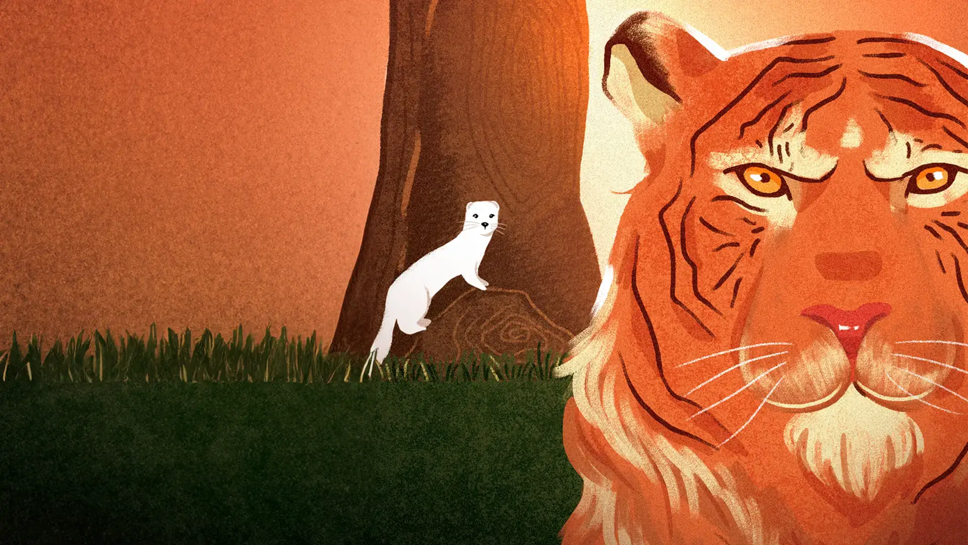 Aula 02: Lição II – O Tigre e a Doninha